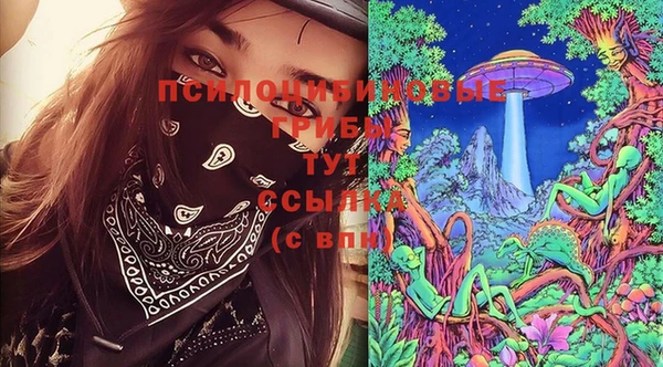 стафф Горняк