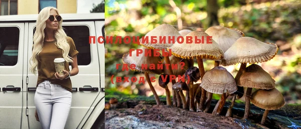 ECSTASY Горнозаводск