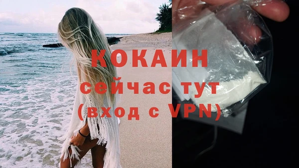 стафф Горняк