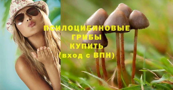 стафф Горняк